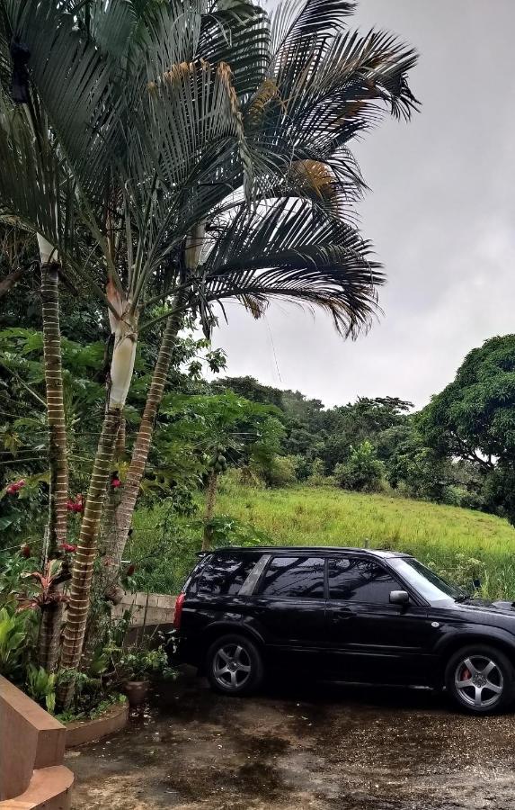 Gables Vacation Rentals With Private Gated Parking Onsite Knockpatrick Buitenkant foto