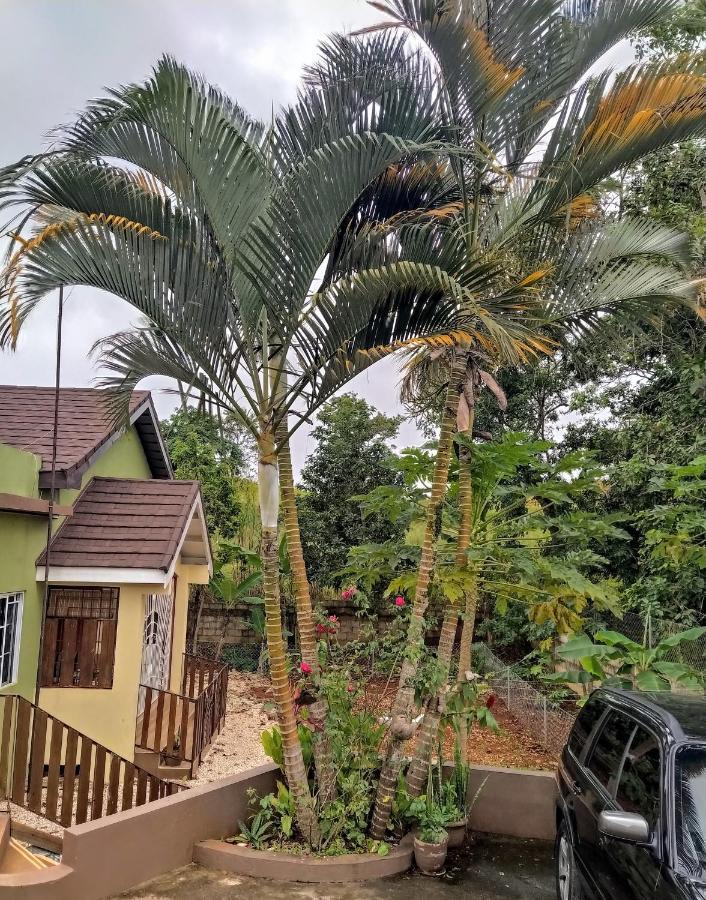 Gables Vacation Rentals With Private Gated Parking Onsite Knockpatrick Buitenkant foto