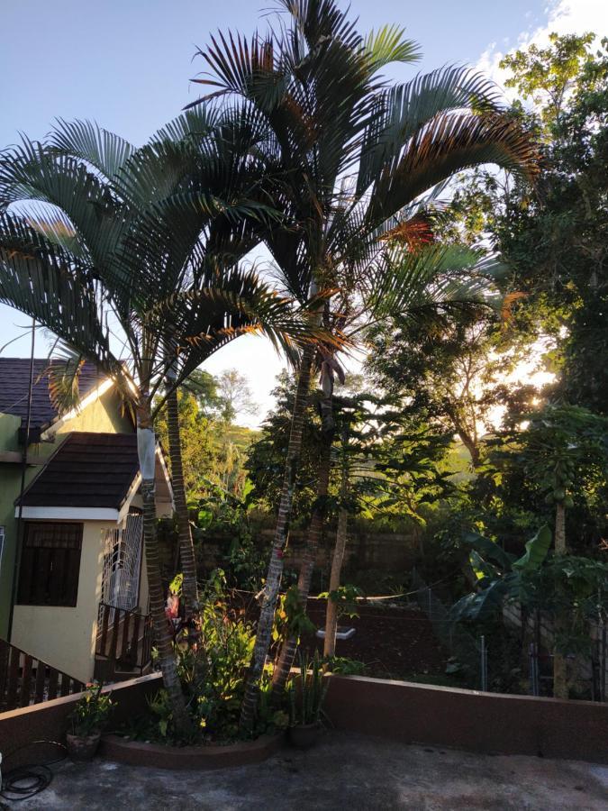 Gables Vacation Rentals With Private Gated Parking Onsite Knockpatrick Buitenkant foto