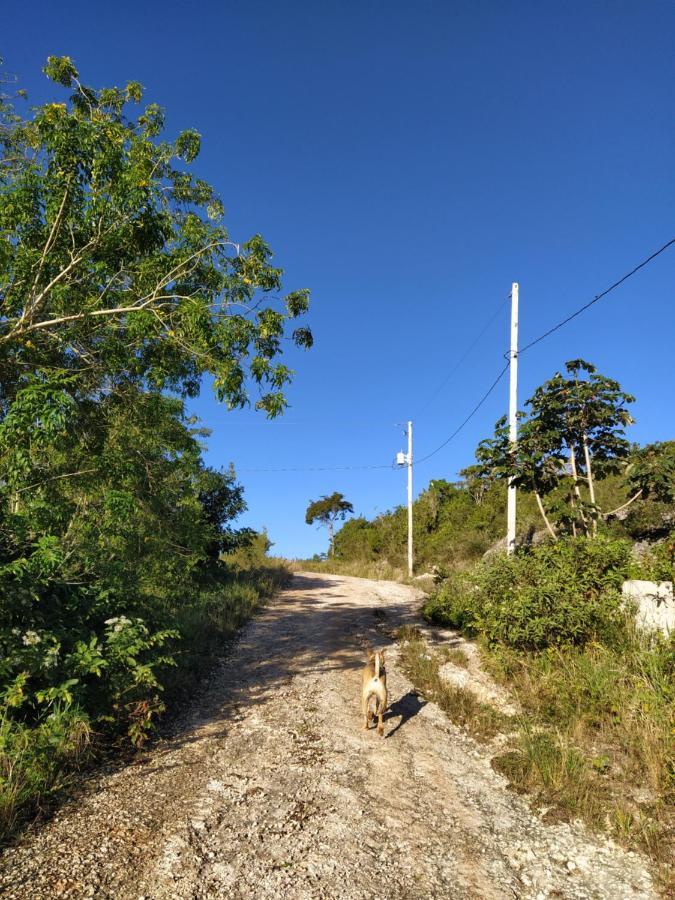 Gables Vacation Rentals With Private Gated Parking Onsite Knockpatrick Buitenkant foto