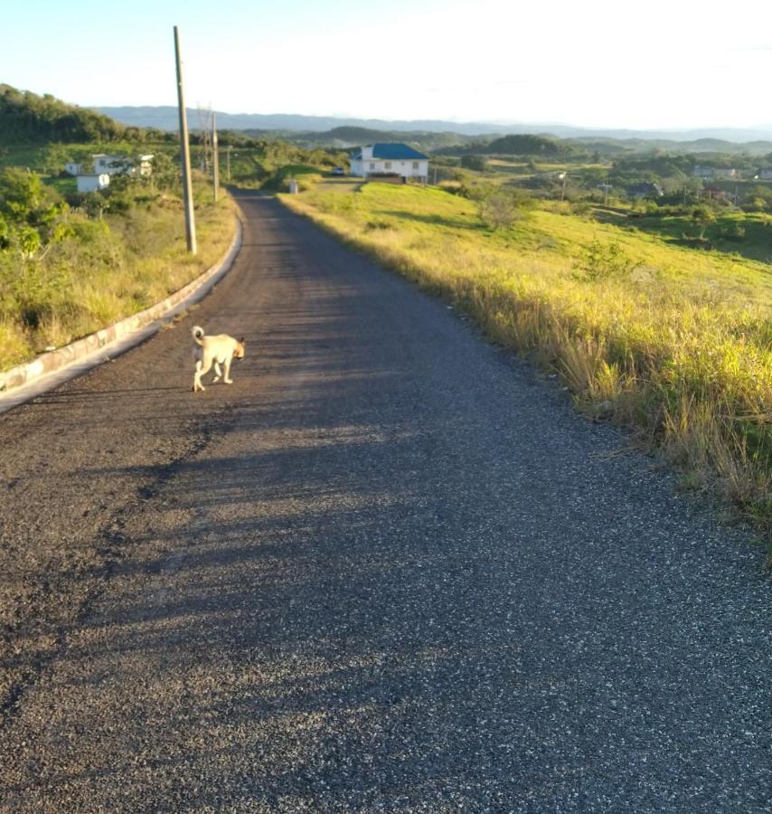 Gables Vacation Rentals With Private Gated Parking Onsite Knockpatrick Buitenkant foto