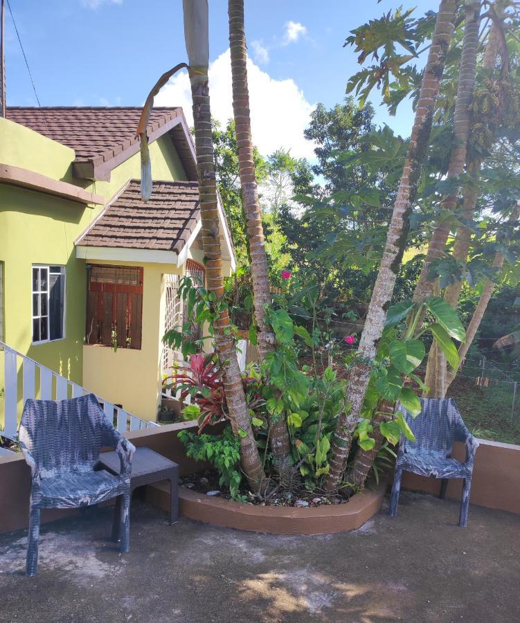 Gables Vacation Rentals With Private Gated Parking Onsite Knockpatrick Buitenkant foto